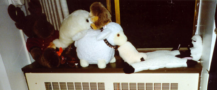 orgy_at_lindas_window