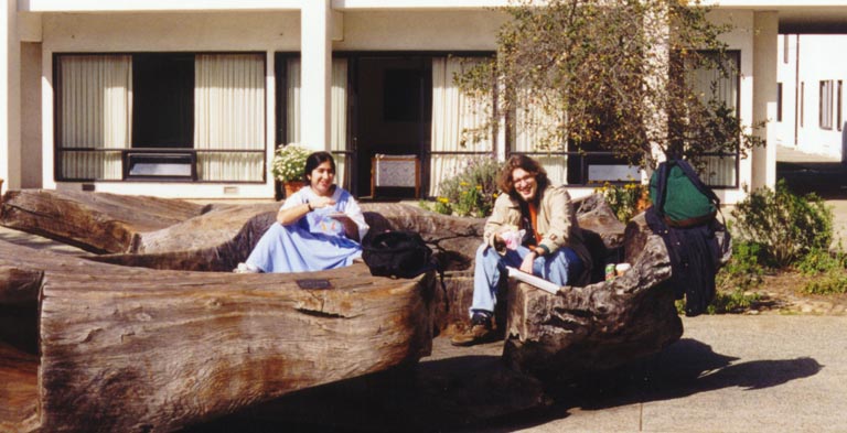 kurt_linda_wood_courtyard