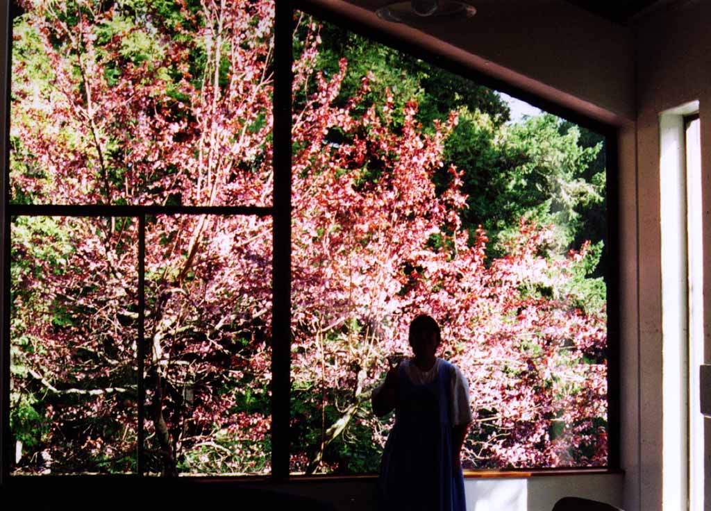 linda_peace_by_the_window