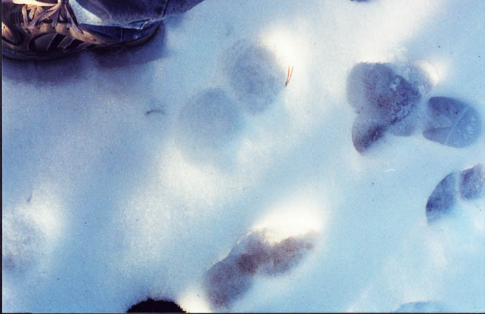 2001-road_trip-kiva-shoes