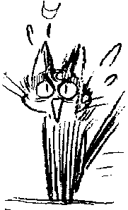 Angry cat image extracted from a pirate sailor-moon porn drawing goes here